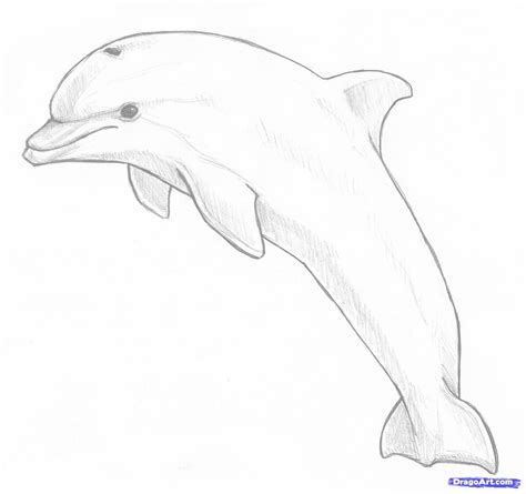 They're cute, friendly, and very intelligent. how to draw a jumping dolphin step 8 | Delfin dibujo ...