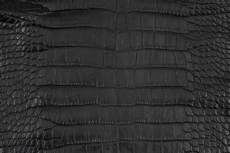Alligator Skin Belly Matte Black