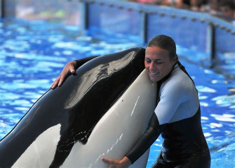 Apr 01, 2010 · shocking seaworld autopsy report shows massive injuries. Pin on Captivity