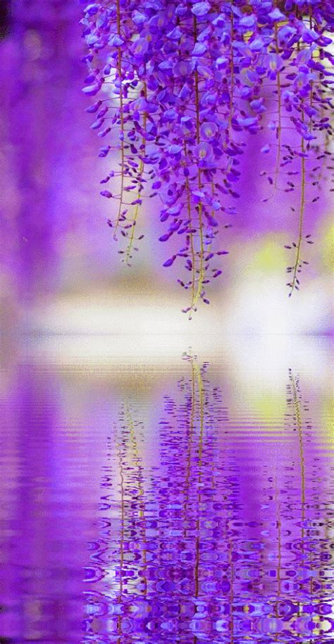 Flower Purple  Wiffle