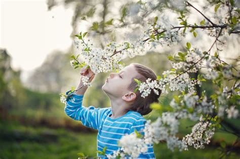 El niño pequeño lindo está oliendo las flores florecientes en un parque