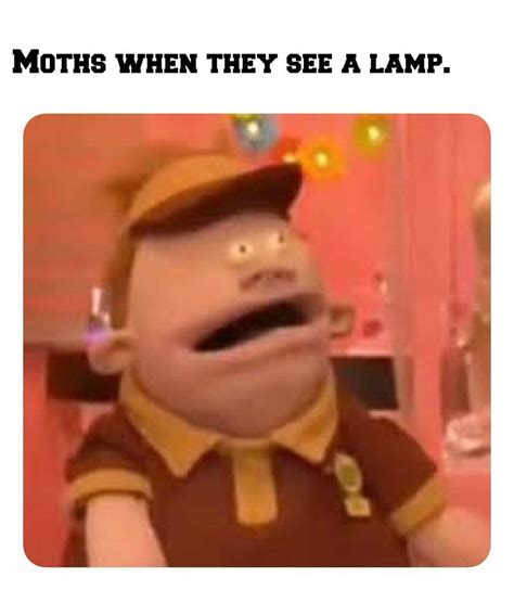 Are The Moth Memes Dead Yet Dank Memes Amino