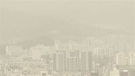 프로야구는 미세먼지에 의한 취소 규정이 있다. 취재파일 미세먼지, 젊은층 조기 치매 부른다 | SBS 뉴스