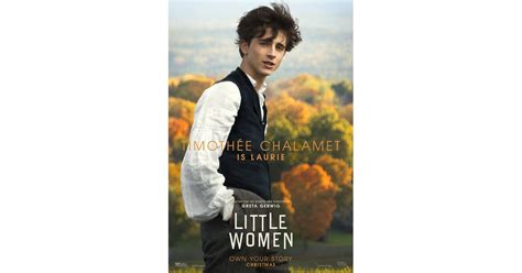 Timothée Chalamets Little Women Poster Little Women 2019 Movie