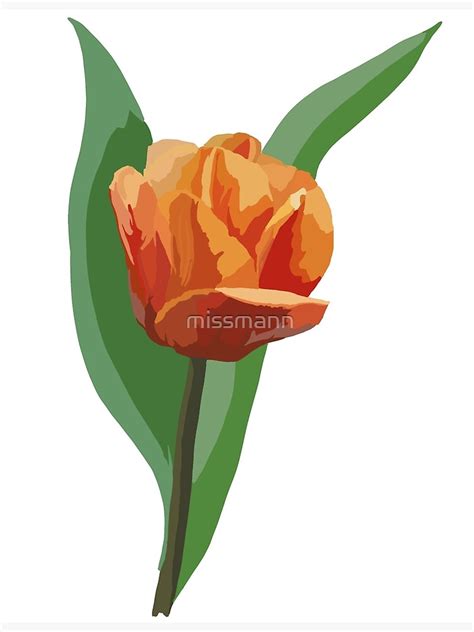Tulip Poster For Sale By Missmann Redbubble