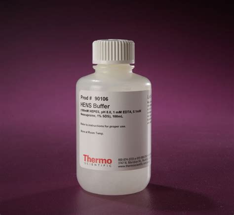 Thermo Scientific Pierce S Nitrosylation Western Blot Kit And Hens