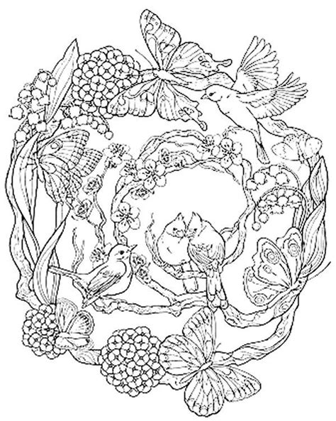 Lots of these free colouring sheets can also be used for older kids and tweens that like detailed colouring pages and i've included some free colouring pages for kids. Pin on Bird Printables