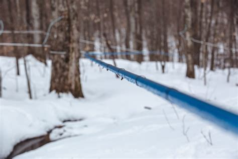 They have a huge reverse osmosis machine. Maple Equipment & Installations | Vermont Maple Syrup ...