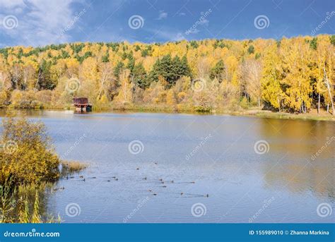 Beautiful Colorful Landscape With Autumn Forest Land The Quiet Lake