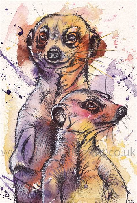 Painting Commission Of Two Meerkats Mixed Media Watercolour And