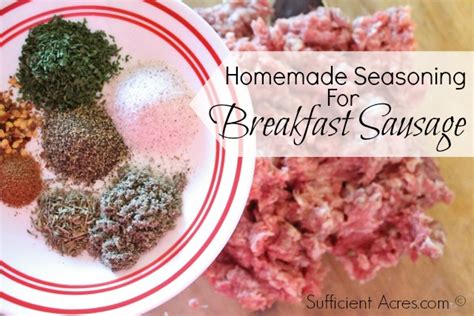 157 calories 2g carbs 6g fat 25g. Homemade Seasoning For Breakfast Sausage