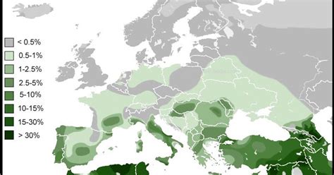 The other subclades of j1 cannot be considered to be the paternal descendants of first speakers of arabic. Naturalia: Origini e Storia dell' Aplogruppo J1 (Y-DNA)
