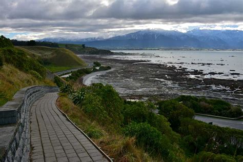Sinai peninsula, triangular peninsula linking africa with asia and occupying an area of 23,500 usually regarded as being geographically part of asia, the sinai peninsula is the northeastern. Kaikoura Peninsula Walkway: South Marlborough tracks and walks
