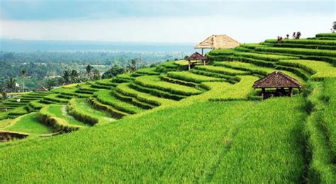 100 gambar pemandangan alam yang indah lukisan foto kali ini akan dibagikan contoh gambar pemandangan alam indah yang bisa digunakan untuk wallpaper atau sekedar koleksi foto update terbaru lukisan pemandangan alam sendiri merupakan salah satu objek paling diminati dalam. kumpulan gambar alam yang indah - Pemandanganoce