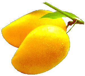 I eat lots of fruits :d. MALAR WORLD: My favorite fruit - Mango