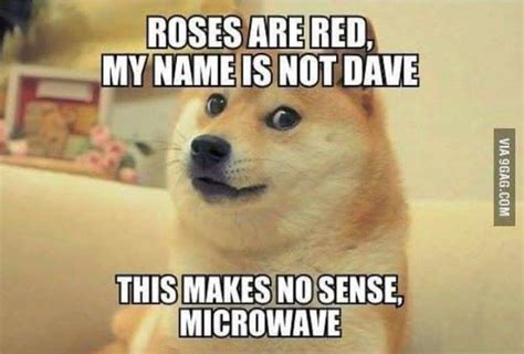Pin By Reallyshygirl On Humor Funny Poems Roses Are Red Funny Red Roses