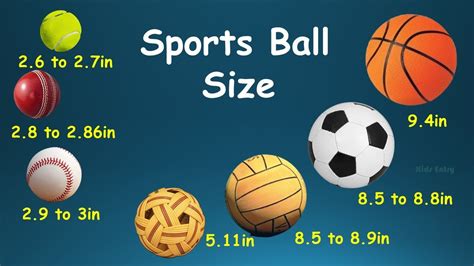 Exercise Ball Sizes Cheap Store Save 45 Jlcatjgobmx