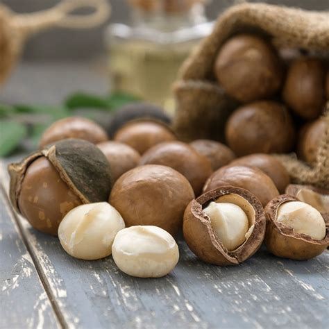 National Macadamia Nut Day September 4 2023 History Observations