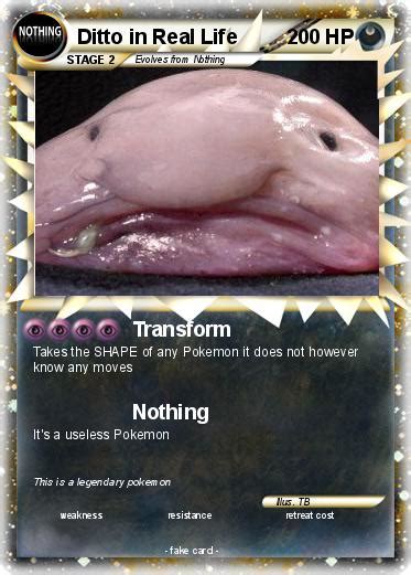 Pokémon Ditto In Real Life Transform My Pokemon Card