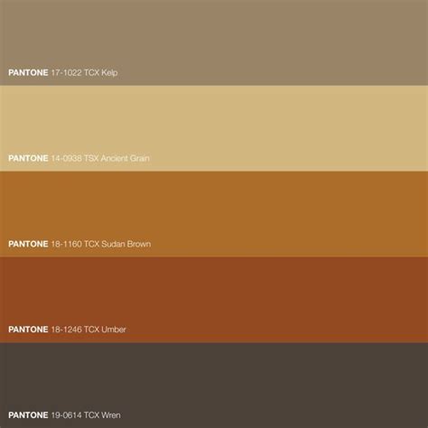 Brown Color Palette Colour Pallette Colour Tint Colour Schemes Color Shades Color Trends