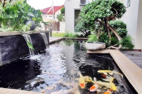Sangat disarankan menggunakan batu alam berwarna hitam. Manfaatkan Teras Rumahmu dengan DIY Kolam Ikan Koi ...