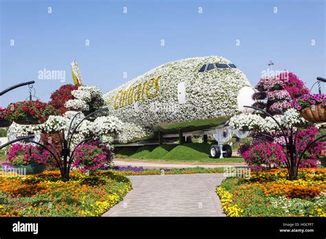 Emirates Airbus A380 Made Of Flowers At The Miracle Garden In Dubai