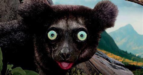 Island Of The Lemurs Madagascar Featurette