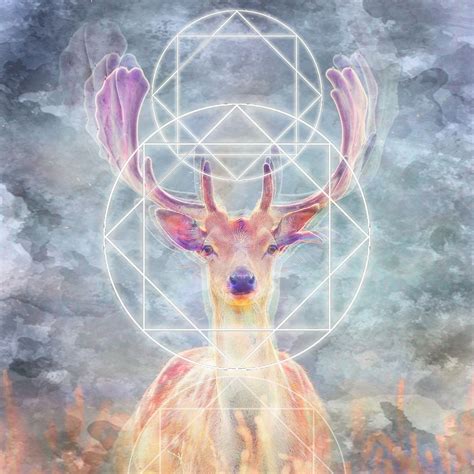 Deer Spirit Digital Print Keia Dreger Spirit Animal Painting Art