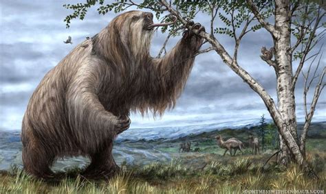 Brian Engh On X Ground Sloth Prehistoric Animals Prehistoric Creatures