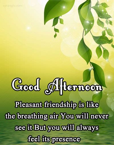 50 good afternoon wishes for free download