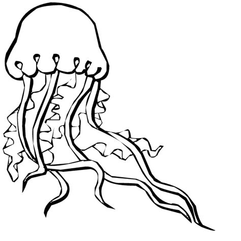 Jellyfish Coloring Page Animals Town Animals Color Sheet