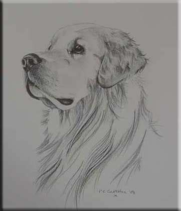 Golden retriever dog art portrait canvas print of la shepard | etsy. Grace Sexton