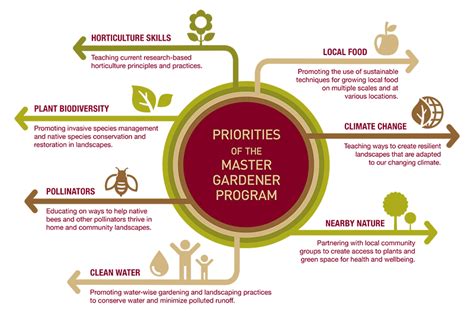 Erasmus mundus master programme in evolutionary biology (meme). About the Master Gardener volunteer program | UMN Extension