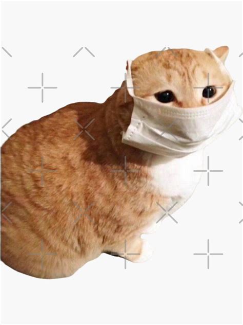 Face Mask Cat Meme T Shirt Corona Cat Meme Sticker By Mouhyeat