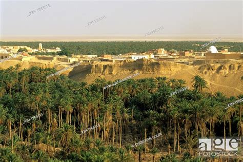 Palm Grove Of Nefta Tunisia North Africa Stock Photo Picture And