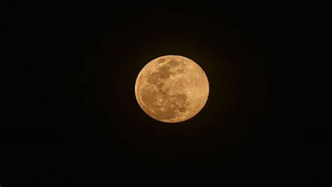 Photographer bill funcheon snapped the super pink moon of april 7, 2020, from new jersey as it hung prominently in the night sky. In pics: Stargazers snap stunning pictures of biggest Super Pink Moon 2020 - Oneindia News