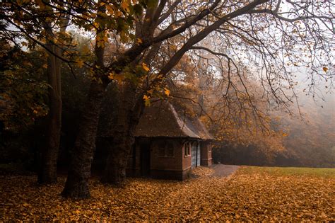 Jesmond Dene Pavilion During Autumn Autumn Cozy Fall Pictures