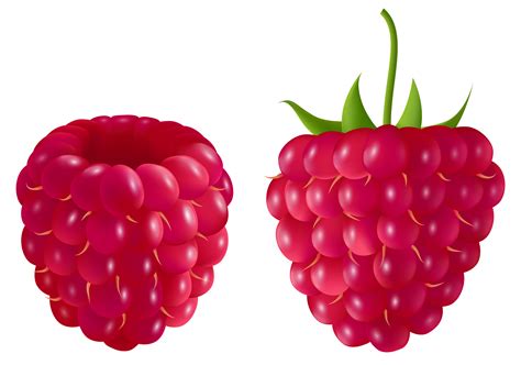 Raspberry Clipart 20 Free Cliparts Download Images On Clipground 2023