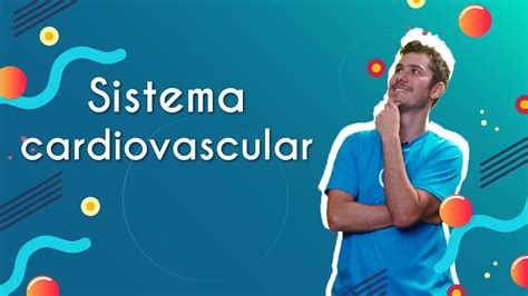 Sistema Cardiovascular Brasil Escola Youtube