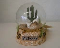Do you agree with this? Cactus Snowglobe - Cactus Jungle