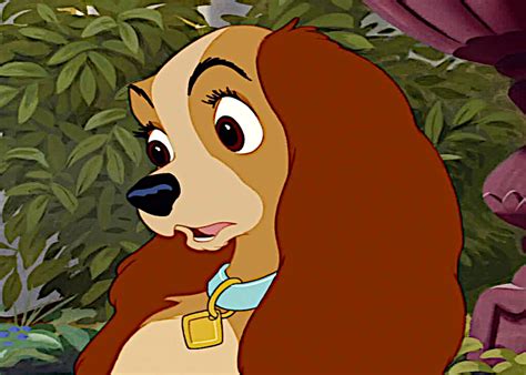 Lady Disneys Lady And The Tramp Photo 40962706 Fanpop