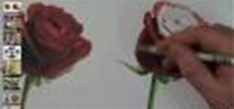 How To Draw A Rose Step By Step Step By Step Drawing Wonderhowto