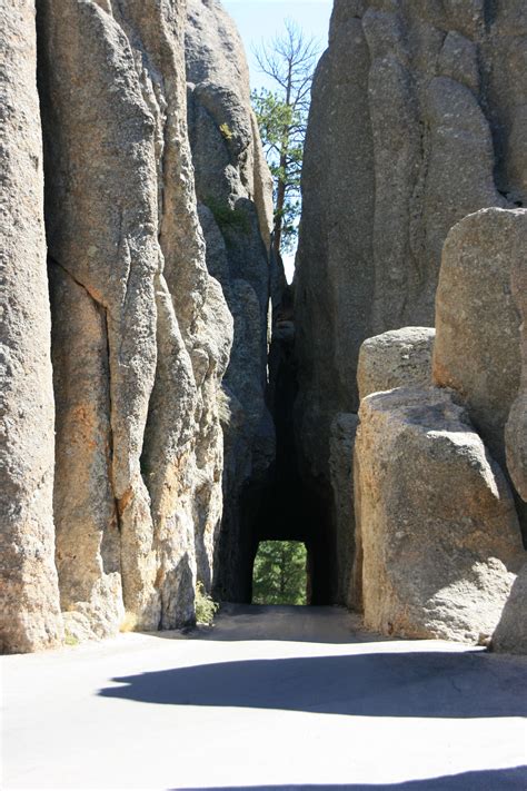 Custer State Park Sd Needles Hwy I Loved Going Through All Of The