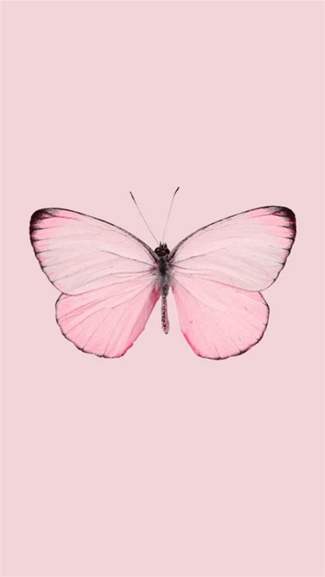 23 Aesthetic Butterfly Iphone Wallpapers Wallpaperboat