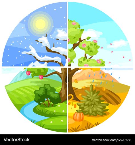 Four Seasons Landscape With Trees Royalty Free Vector Image