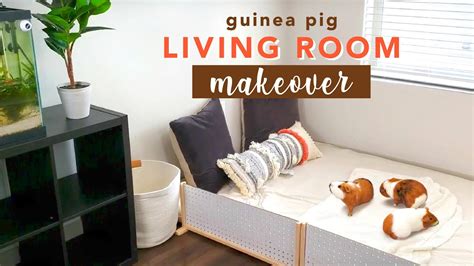 Guinea Pig Living Room Makeover And DIY Fence GuineaDad YouTube