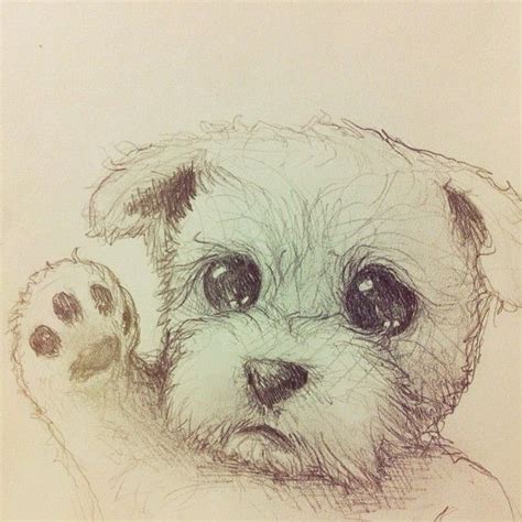 The dog will get high but nothing will happen to the dog it will just get the same sideaffect as a human. PUPPY WANTS A HIGH-FIVE! #drawing #illustration #sketch # ...