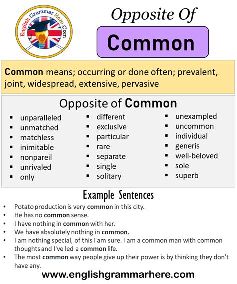 Opposite Of Common Antonyms Of Common Meaning And Example Sentences