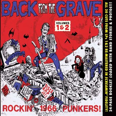 Back From The Grave Vol1 And 2 Re Recorded Cd Jpc