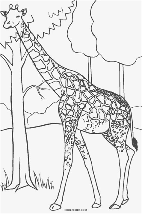 The giraffe coloring pages printable are very relatable because your kid might already enjoy the beauty of this animal. Free Printable Giraffe Coloring Pages For Kids